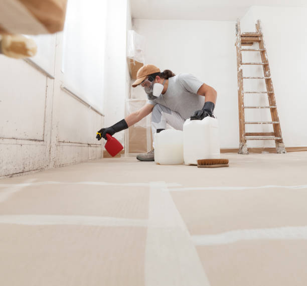 Townsend, DE Mold Removal Company