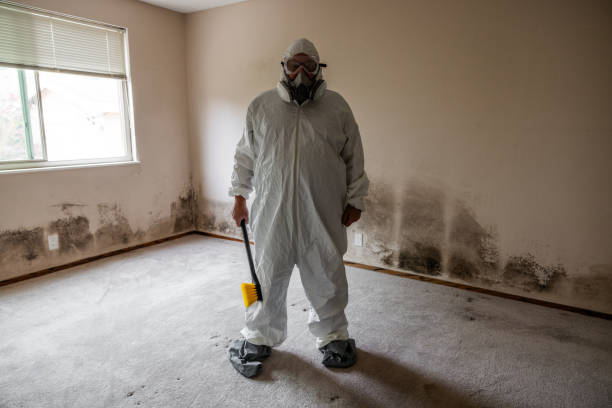 Best Mold Odor Removal Services  in Townsend, DE